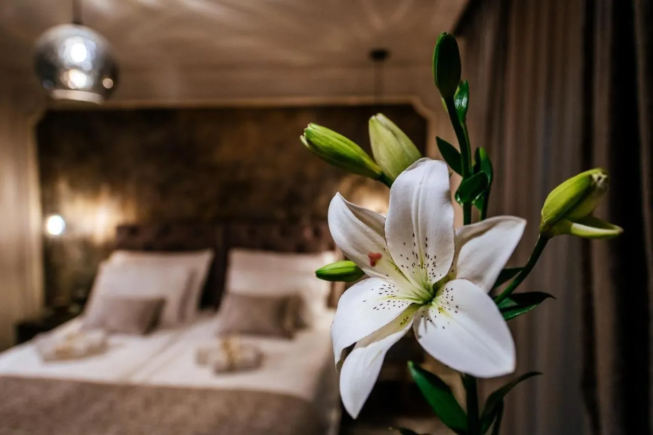 Luxury Rooms Vindemiae ザダル 4*,  クロアチア